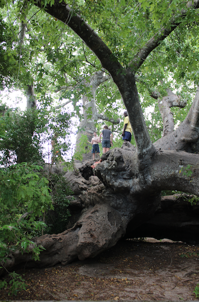 We had a great O-H-I-O on top of this behemoth, but forgot our shirts.