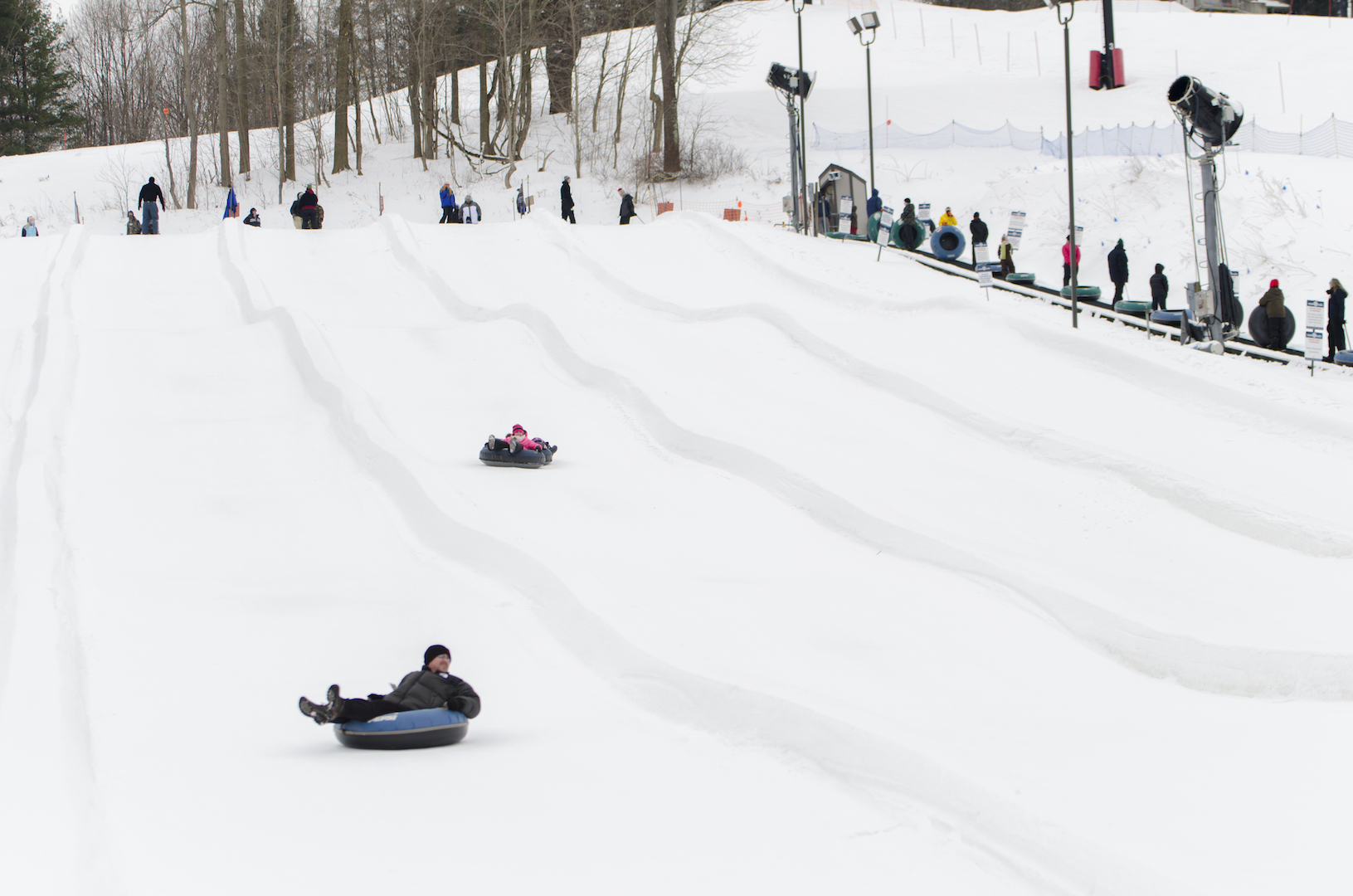 Pizza, French Fries, Pizza, French Fries My Fisher Grad Life My