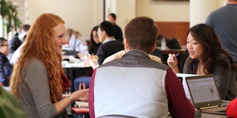 Student Teamwork and Experience
